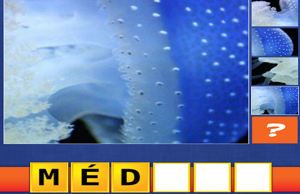 Answers 4 Images 1 Word close-up