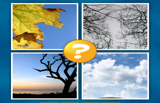 Answers 4 Pictures 1 Word What is the word