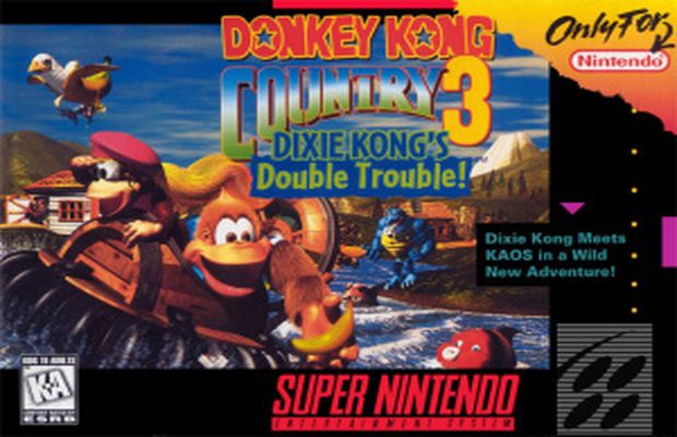 Retro: Tutorial para Donkey Kong Country 3, 103%
