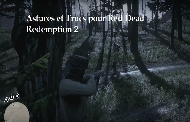 Tips and Tricks for Red Dead Redemption 2