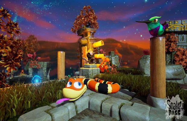 Solution for Snake Pass